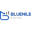 Blue Nile Digital